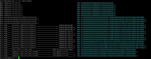 ls /dev/disks